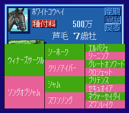 WINNING POST_NH1-2.png
