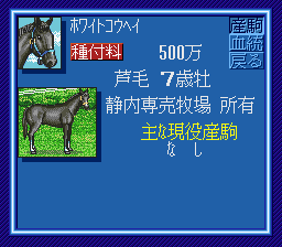 WINNING POST_NH1-4.png