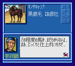 WINNING POST_sfc3sai01.png