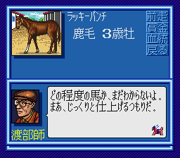 WINNING POST_sfc3sai06.png